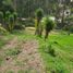  Land for sale in Cathedral of the Immaculate Conception, Cuenca, Sinincay, Cuenca