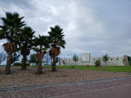  Terreno (Parcela) en venta en Lagos De Moreno, Jalisco, Lagos De Moreno