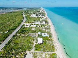  Terreno (Parcela) en venta en Ixil, Yucatán, Ixil