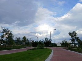  Terreno (Parcela) en venta en Lagos De Moreno, Jalisco, Lagos De Moreno