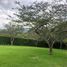  Terreno (Parcela) en venta en Tumbaco, Pichincha, Tumbaco