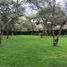  Terreno (Parcela) en venta en Tumbaco, Pichincha, Tumbaco