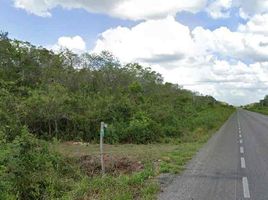  Terreno (Parcela) en venta en Peto, Yucatán, Peto