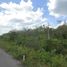  Terreno (Parcela) en venta en Peto, Yucatán, Peto