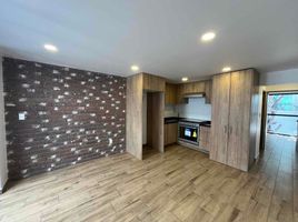 1 Habitación Apartamento en alquiler en Miguel Hidalgo, Ciudad de México, Miguel Hidalgo, Ciudad de México