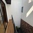 1 Habitación Apartamento en alquiler en Miguel Hidalgo, Ciudad de México, Miguel Hidalgo, Ciudad de México