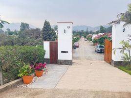  Land for sale in Pachacamac, Lima, Pachacamac