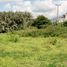  Land for sale in Quiroga, Cotacachi, Quiroga