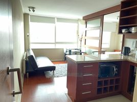 1 Bedroom Apartment for rent in Puerto Montt, Llanquihue, Puerto Montt