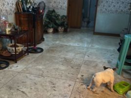 Villa 5 chambre à vendre à Makati City, Metro Manila, Makati City, Southern District