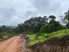  Terreno (Parcela) en venta en Pedro Vicente Maldonado, Pichincha, Pedro Vicente Maldonado, Pedro Vicente Maldonado