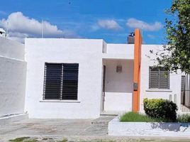 Maison 2 chambre à louer à Merida, Yucatan, Merida