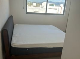 1 Schlafzimmer Wohnung zu vermieten in Queretaro, Queretaro, Queretaro, Queretaro