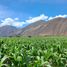  Terrain for sale in Urubamba, Cusco, Yucay, Urubamba