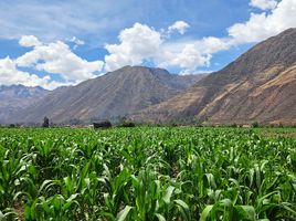  Grundstück zu verkaufen in Urubamba, Cusco, Yucay