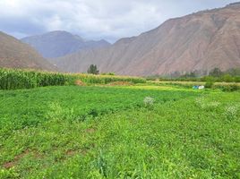  Grundstück zu verkaufen in Urubamba, Cusco, Yucay