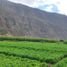  Grundstück zu verkaufen in Urubamba, Cusco, Yucay