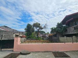  Land for sale in Bayambang, Pangasinan, Bayambang