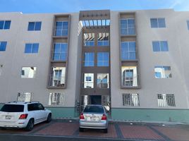 2 Habitación Apartamento en alquiler en Queretaro, Querétaro, Queretaro, Querétaro