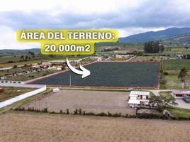  Terreno (Parcela) en venta en Pedro Moncayo, Pichincha, Malchingui, Pedro Moncayo