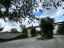 2 Habitación Apartamento en alquiler en Merida, Yucatán, Merida, Yucatán