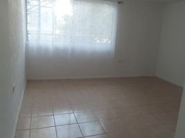 칠레PropertyTypeNameBedroom, Quilpue, 발파라 이소, 발파라 이소, 칠레