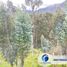  Land for sale in Azuay, Sinincay, Cuenca, Azuay