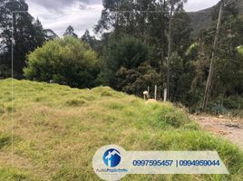  Terreno (Parcela) en venta en Azuay, Cuenca, Cuenca, Azuay