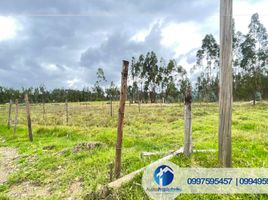  Terrain for sale in Chiquintad, Cuenca, Chiquintad