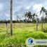  Land for sale in Chiquintad, Cuenca, Chiquintad