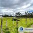  Land for sale in Chiquintad, Cuenca, Chiquintad