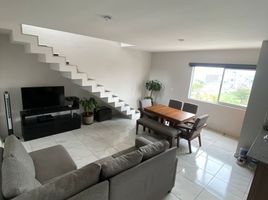 在Jalisco出租的2 卧室 住宅, Guadalajara, Jalisco