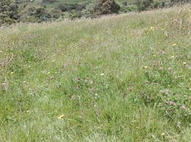  Grundstück zu verkaufen in La Calera, Cundinamarca, La Calera