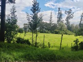  Land for sale in Amaguana, Quito, Amaguana