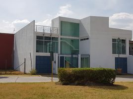 50 m² Office for rent in Toluca, Mexico, Toluca