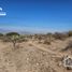 Land for sale in Ajacuba, Hidalgo, Ajacuba