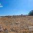  Land for sale in Ajacuba, Hidalgo, Ajacuba