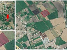  Grundstück zu verkaufen in Tula De Allende, Hidalgo, Tula De Allende
