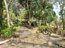  Land for sale in Turbaco, Bolivar, Turbaco