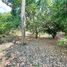  Land for sale in Turbaco, Bolivar, Turbaco