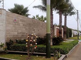 在Lima出售的5 卧室 屋, Chorrillos, Lima, Lima