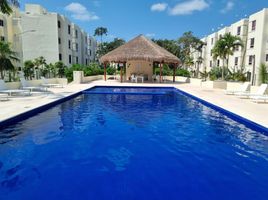 2 Schlafzimmer Appartement zu vermieten in Cozumel, Quintana Roo, Cozumel