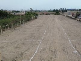  Terreno (Parcela) en venta en Chincha Baja, Chincha, Chincha Baja