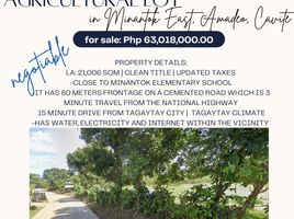  Land for sale in Amadeo, Cavite, Amadeo