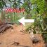  Land for sale in Baguio City, Cordillera, Baguio City, Benguet