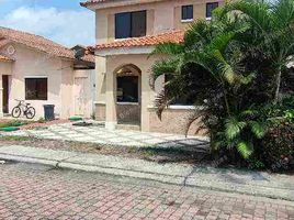 3 Bedroom House for rent in Guayas, Samborondon, Samborondon, Guayas