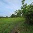  Land for sale in Mendez, Cavite, Mendez