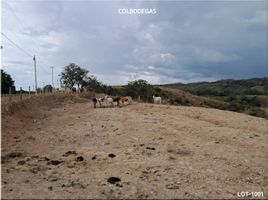  Terreno (Parcela) en venta en Pereira, Risaralda, Pereira