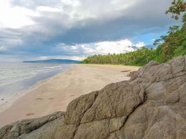  Terrain for sale in Aborlan, Palawan, Aborlan