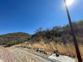  Land for sale in Lagos De Moreno, Jalisco, Lagos De Moreno